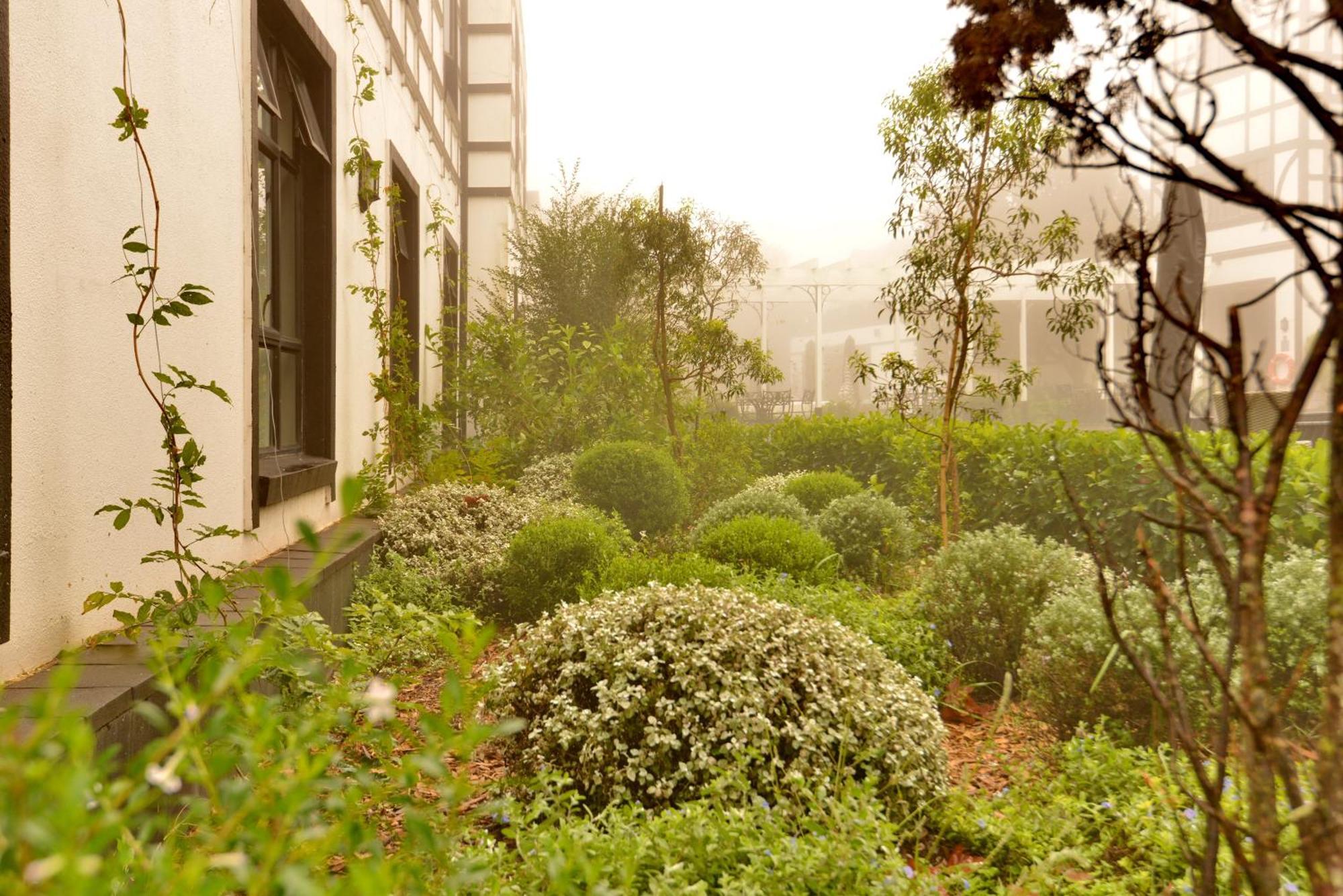 Anew Hotel Hilton Pietermaritzburg Exterior foto